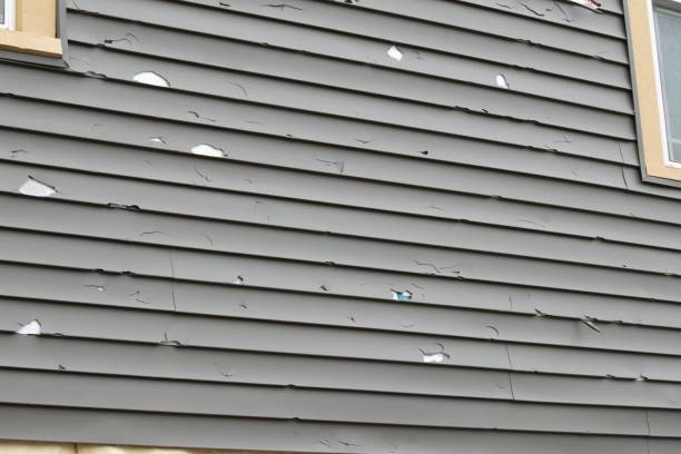 Best Garage Cleanout  in Placerville, CA